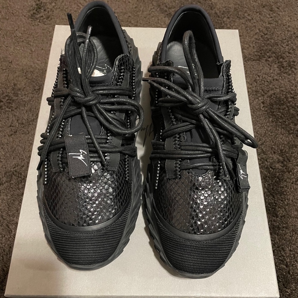Giuseppe Zanotti